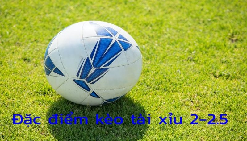 Cách tính tiền thưởng thắng thua trong Tài Xỉu 2 2.5