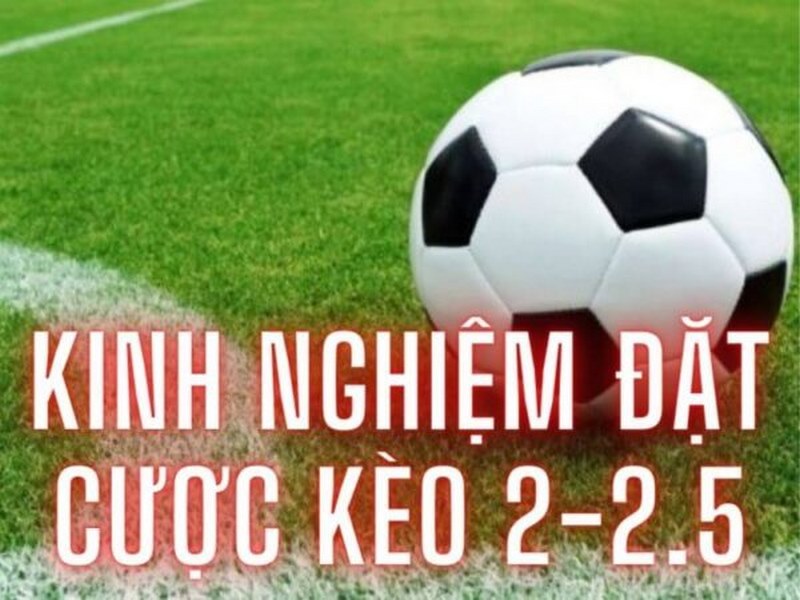 Quan sát thời tiết và điều kiện sân cỏ khi chọn kèo Tài Xỉu 2 2.5