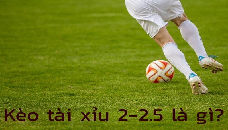 Tìm hiểu kèo Tài Xỉu 2 2.5 là gì dễ hiểu