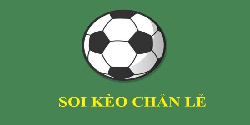 Anh-dai-dien-keo-chan-le