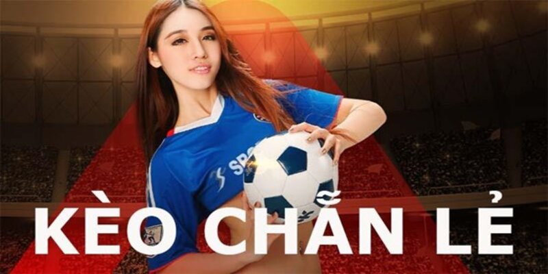 Hướng dẫn tân binh cách đọc kèo chẵn lẻ
