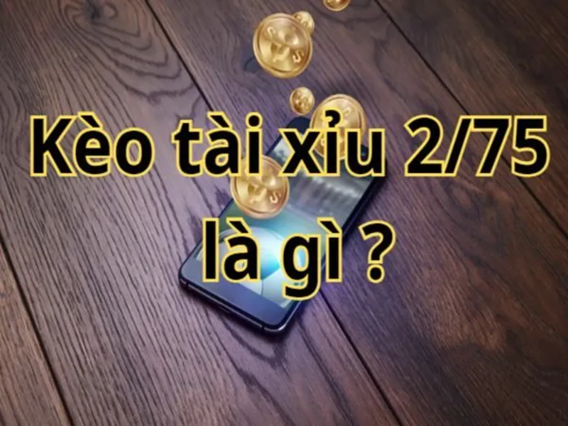 Cách tính kèo Tài Xỉu 2.75 chi tiết