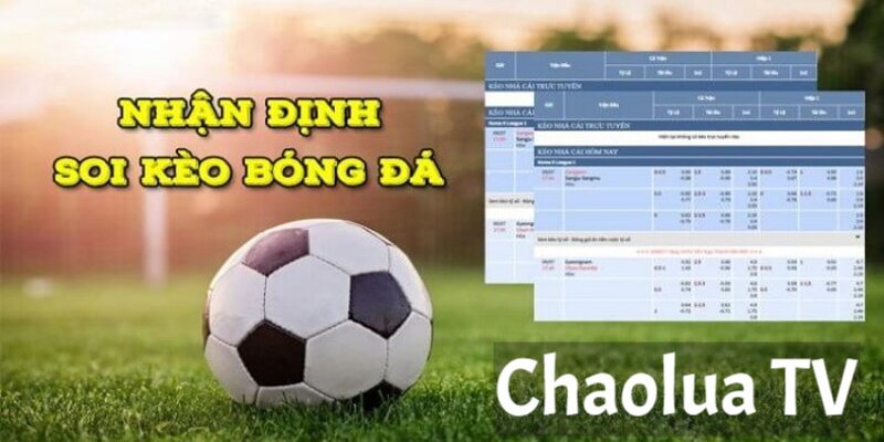 Chaolua TV - Trang cá độ bóng đá uy tín nhất Việt Nam