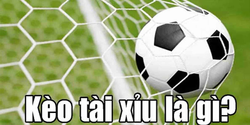 Giới thiệu về kèo Tài Xỉu là gì