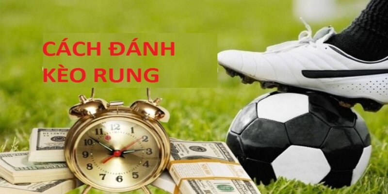Hướng dẫn cách xem kèo rung chuẩn xác