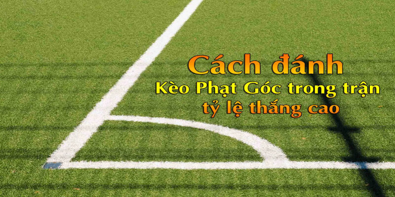 Kinh nghiệm soi kèo phạt góc từ cao thủ
