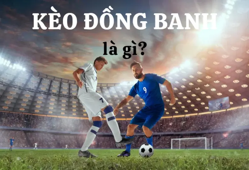 Thông tin chính xác về kèo hòa đồng banh