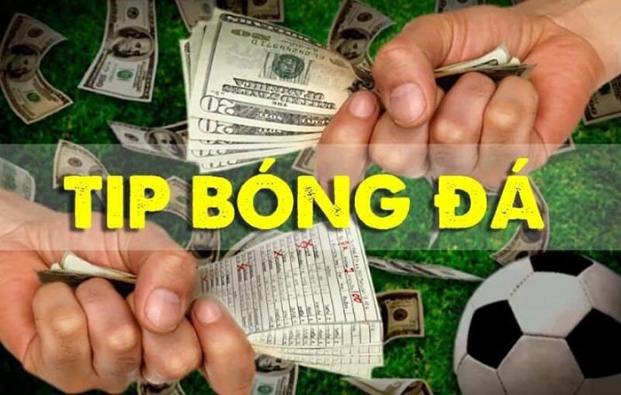 Hướng dẫn cách sử dụng tip bóng đá hiệu quả cao