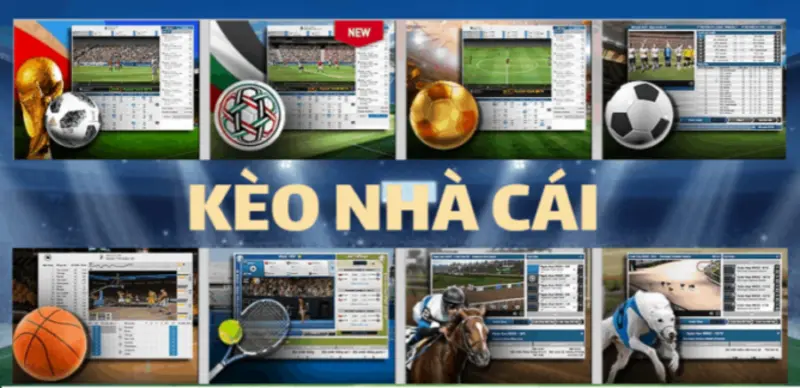 Khái niệm về thuật ngữ tỷ lệ kèo nhà cái