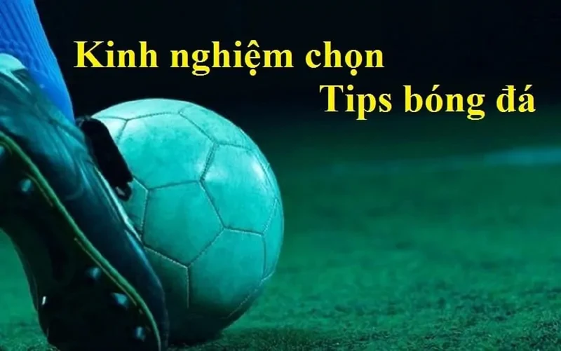 kinh nghiệm chọn típ bóng đá uy tín