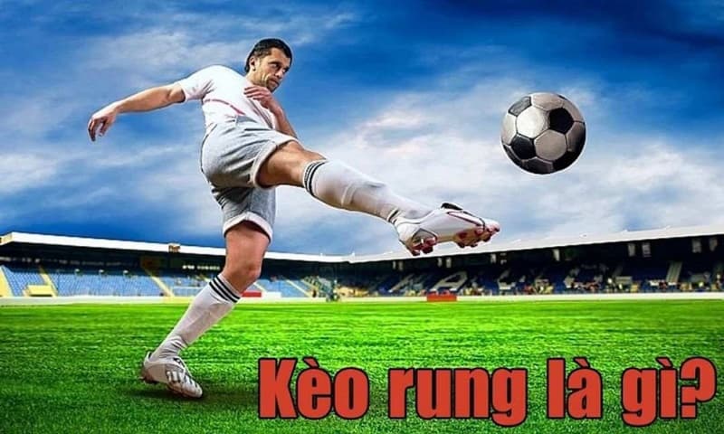 Khái niệm kèo rung hiệp 1