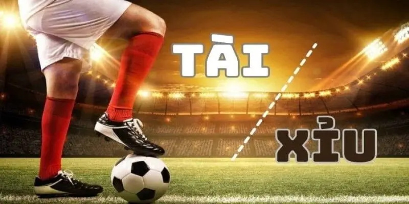 Kinh nghiệm khi chơi cá độ kèo tài xỉu 