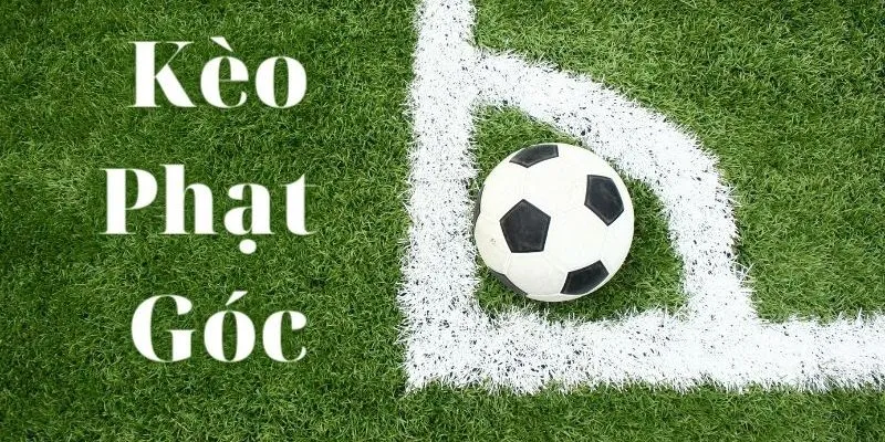 Kinh nghiệm soi kèo phạt góc đơn giản mà chuẩn xác