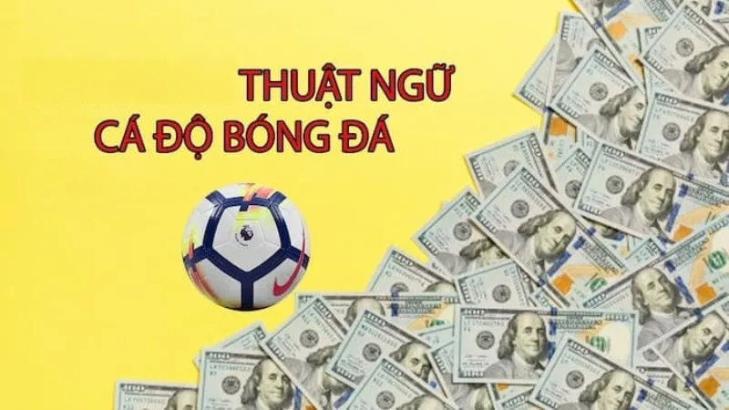 Thuật ngữ cá độ bóng đá bạn nên biết