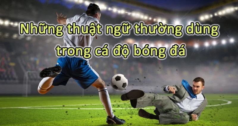 Thuật ngữ cá độ bóng đá mà anh em thường dùng