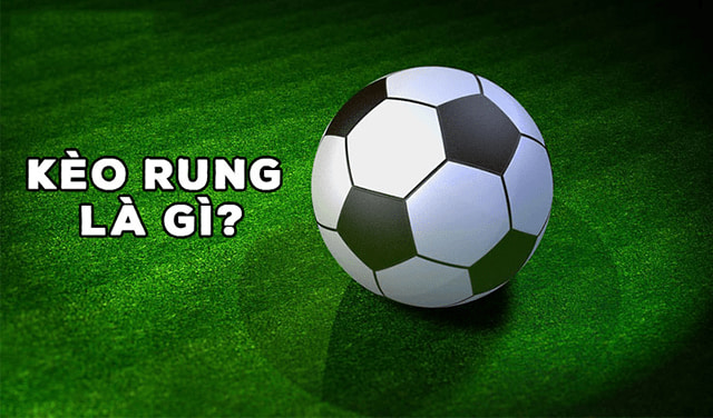 Mẹo chơi cho người mới bắt đầu cần biết