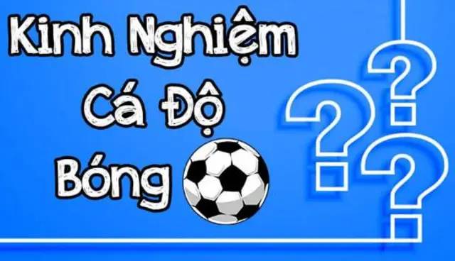 top 5 mẹo cá cược bóng đá