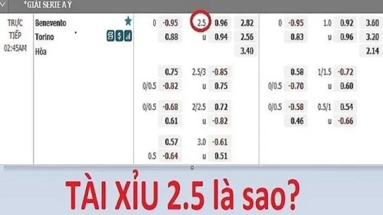 Chaolua có thực sự đáng tin cậy như lời đồn?