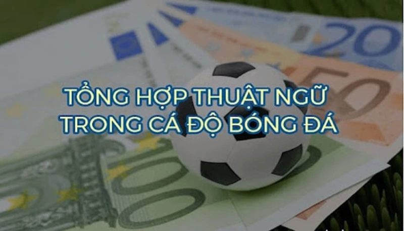 tổng hợp Thuật ngữ cá độ bóng đá